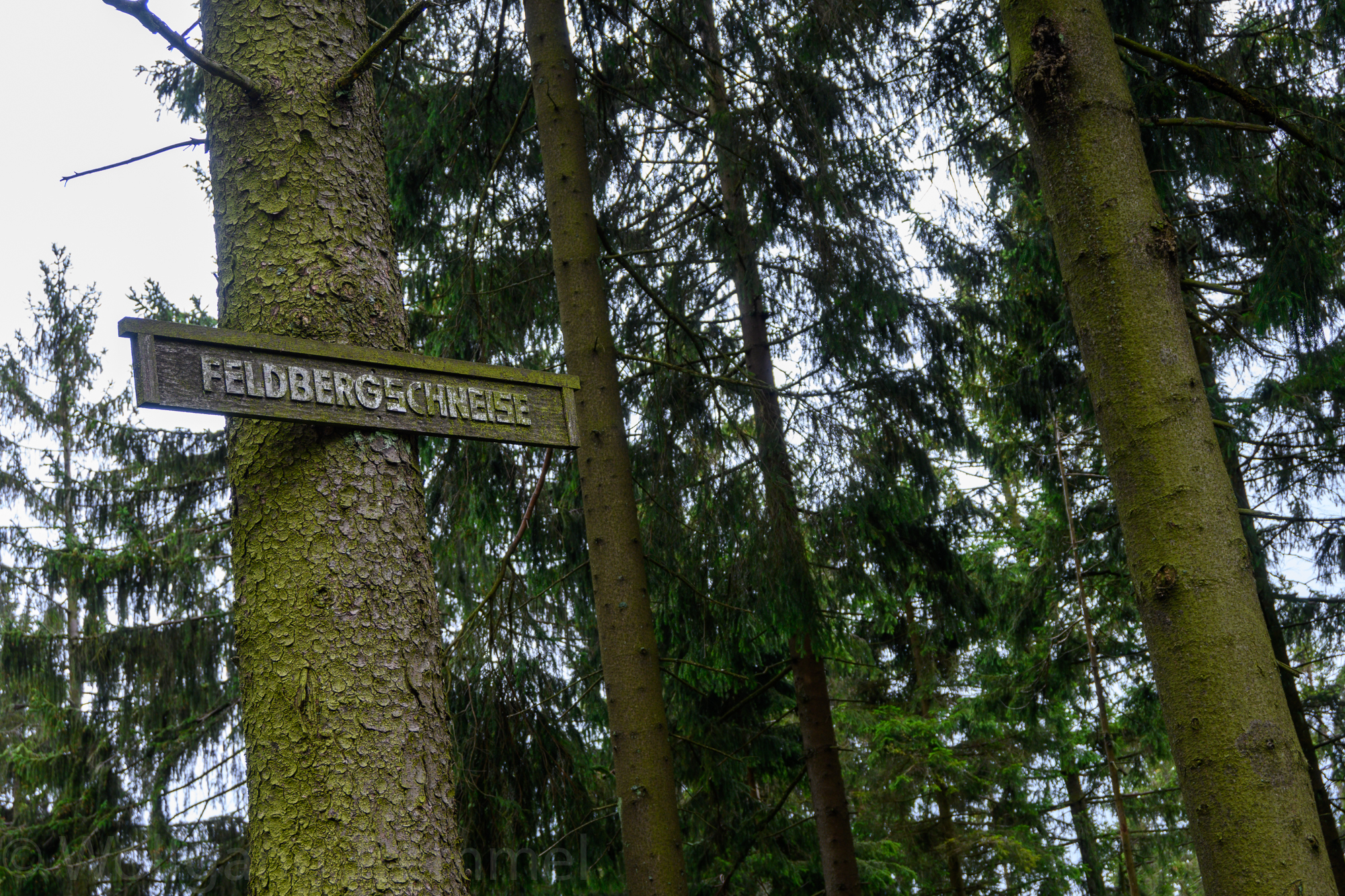 20200705-122008-wt-Taunus-0018.jpg 20200705-122008-wt-Taunus-0018.jpg