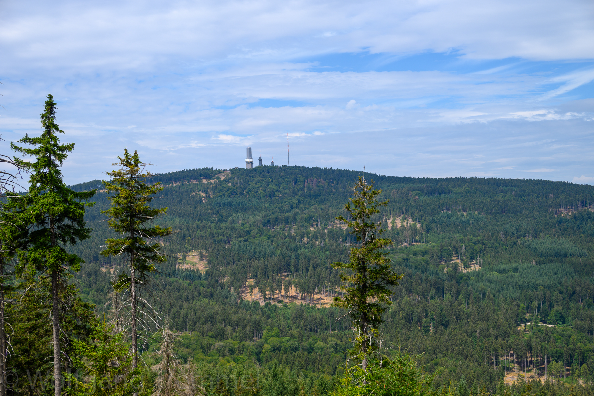 Zoom-In 20220731-133229-wt-Taunus-0004.jpg