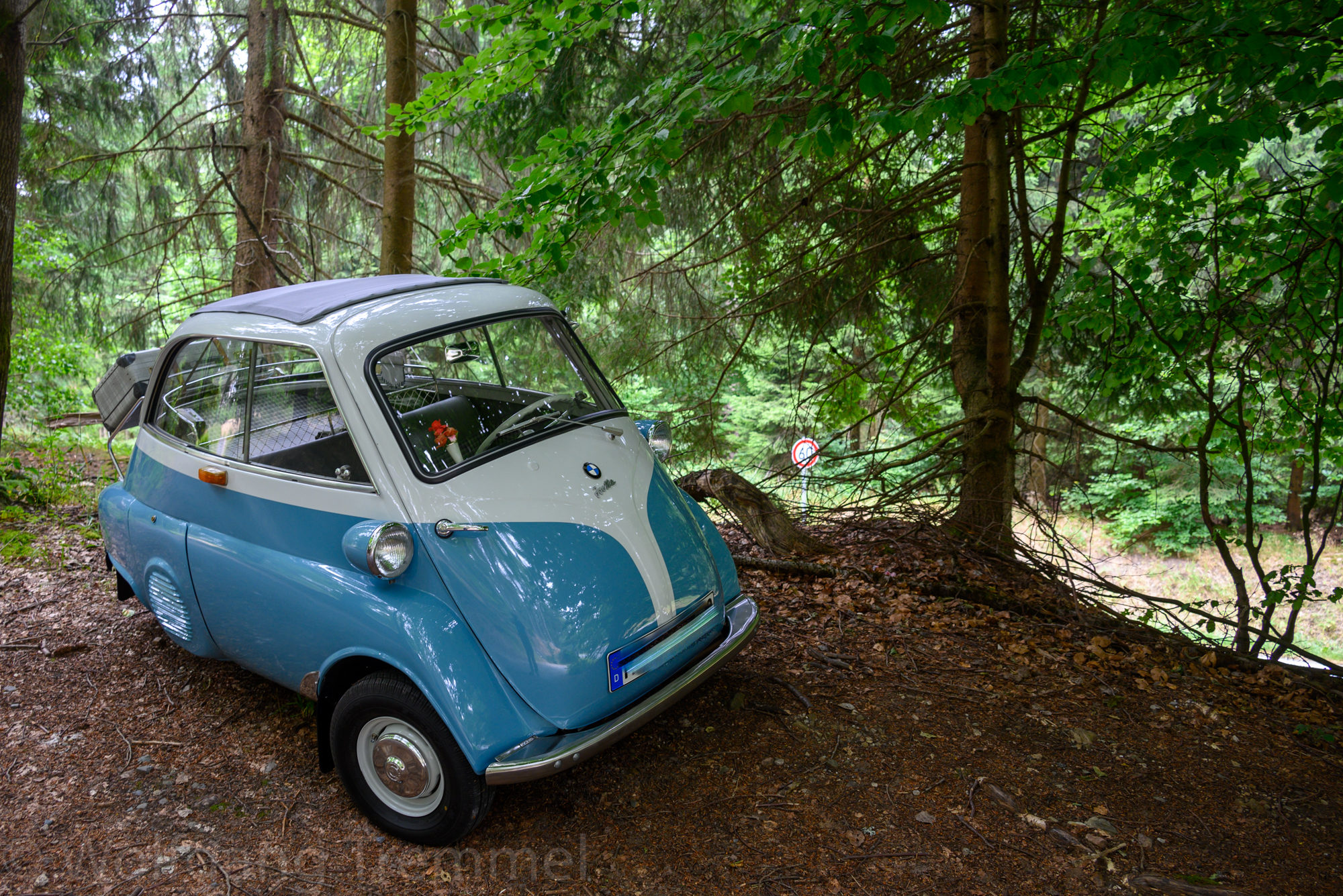 Zoom-In 20220731-115906-wt-Taunus-0002.jpg