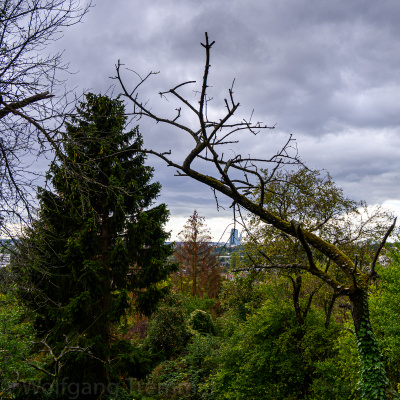 Zoom-In 20201004-123240-wt-Lohrberg-0050.jpg