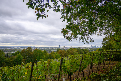 20201004-120408-wt-Lohrberg-0037-HDR.jpg