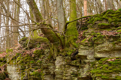 Vergrößern 20210314-141728-wt-BadCamberg-0019.jpg