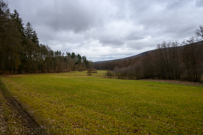 Vergrößern 20210314-140534-wt-BadCamberg-0008.jpg