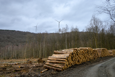 Vergrößern 20210314-132926-wt-BadCamberg-0001.jpg