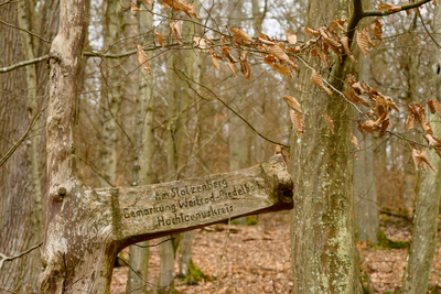 Vergrößern 20210314-134600-wt-BadCamberg-0007.jpg