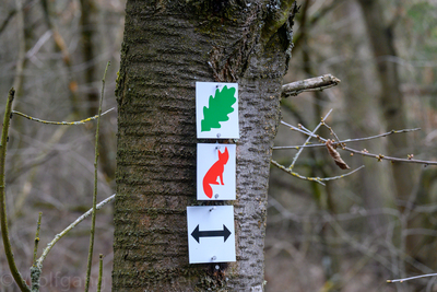 Vergrößern 20210318-115351-wt-Taunus-0019.jpg