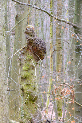 Vergrößern 20210318-120915-wt-Taunus-0030.jpg