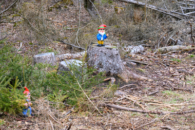 Vergrößern 20210318-121158-wt-Taunus-0032.jpg