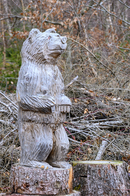 Vergrößern 20210318-121211-wt-Taunus-0034.jpg