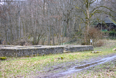 Vergrößern 20210318-130136-wt-Taunus-0046.jpg