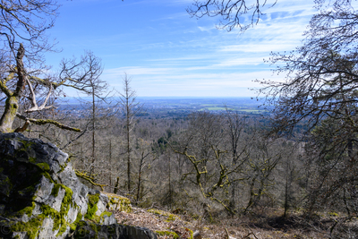 Vergrößern 20210320-120852-wt-Taunus-0023.jpg