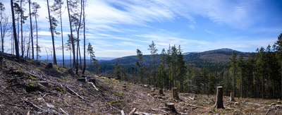 Vergrößern 20210320-115950-wt-Taunus-0010-Pano.jpg