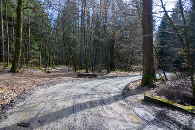 Vergrößern 20210320-112052-wt-Taunus-0002.jpg