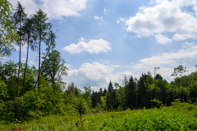 Vergrößern 20210609-113438-wt-Merzhausen-0001.jpg