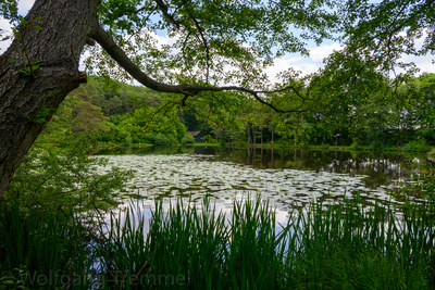 Vergrößern 20210609-120734-wt-Merzhausen-0004.jpg