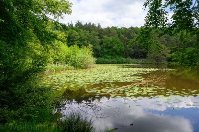 Vergrößern 20210609-120820-wt-Merzhausen-0005.jpg