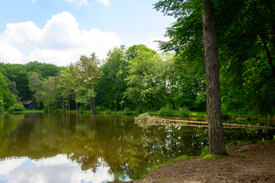Vergrößern 20210609-120846-wt-Merzhausen-0007.jpg