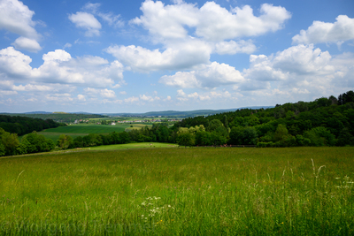 Vergrößern 20210609-132134-wt-Merzhausen-0011.jpg