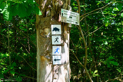 Vergrößern 20210609-134947-wt-Merzhausen-0012.jpg