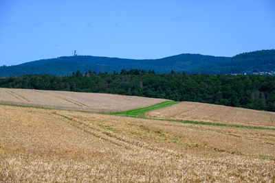 Vergrößern 20210718-142444-wt-Buchfinkenland-0070.jpg