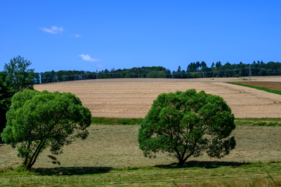 Vergrößern 20210718-140429-wt-Buchfinkenland-0065.jpg