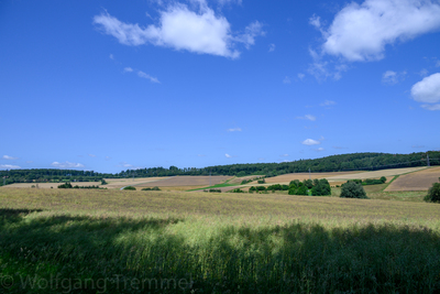 Vergrößern 20210718-131811-wt-Buchfinkenland-0062.jpg