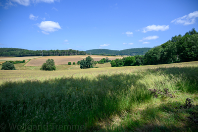 Vergrößern 20210718-131753-wt-Buchfinkenland-0060.jpg