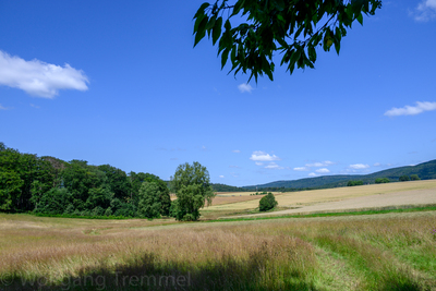 Vergrößern 20210718-124900-wt-Buchfinkenland-0028.jpg