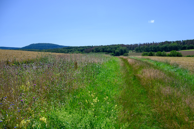 Vergrößern 20210718-121714-wt-Buchfinkenland-0019.jpg