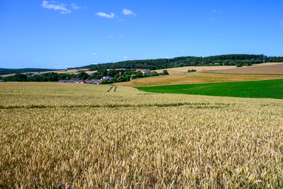 Vergrößern 20210718-121654-wt-Buchfinkenland-0018.jpg