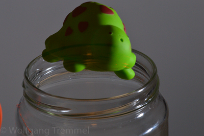 Zoom in 20180825-212824-wt-Splash-0002.jpg