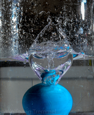 Zoom in 20180826-215909-wt-Splash-0004.jpg