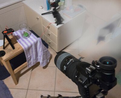 Zoom in 20180825-213644-wt-Splash-0008.jpg