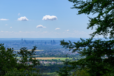 Zoom-In 20220626-113818-wt-Taunus-0017.jpg